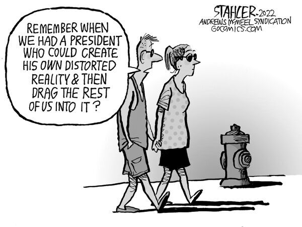 Editorial Cartoon: Distorted reality